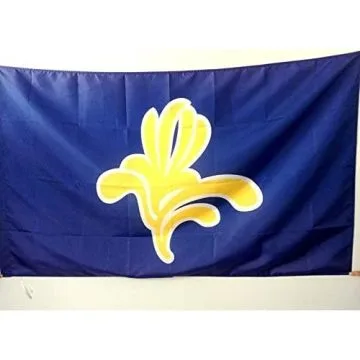 DRAPEAU BRUXELLES CAPITALE 150x90cm - DRAPEAU BRUXELLOIS 90 x 150 cm Fourreau pour hampe