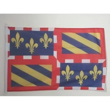 PAVILLON NAUTIQUE BOURGOGNE 45x30cm - DRAPEAU DE BATEAU BOURGUIGNON - FRANCE 30 x 45 cm
