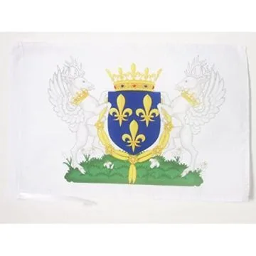 DRAPEAU BLASON ROYAUME DE FRANCE CHARLES VI 45x30cm - PAVILLON ROYALISTE FRANÇAIS 30 x 45 cm haute qualité