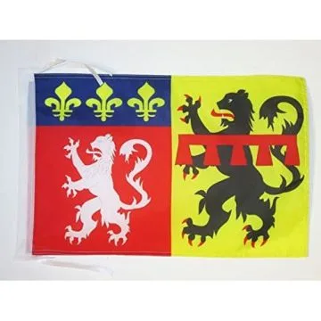 DRAPEAU RHÔNE 45x30cm - PAVILLON DÉPARTEMENT RHODANIEN 30 x 45 cm haute qualité