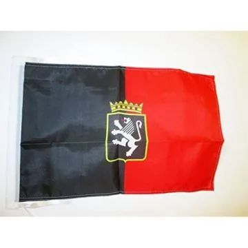 DRAPEAU VALLÉE D\'AOSTE AVEC ARMES 45x30cm - PAVILLON VALLE D\'AOSTA ARMOIRIES - ITALIE 30 x 45 cm haute qualité
