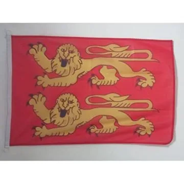 PAVILLON NAUTIQUE BASSE-NORMANDIE 45x30cm - DRAPEAU DE BATEAU BAS-NORMAND - FRANCE 30 x 45 cm