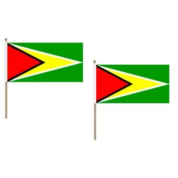 DRAPEAU GUYANA 45x30cm HAMPE en bois - LOT DE 10 DRAPEAUX GUYANIEN 30 x 45 cm