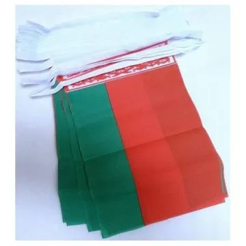 Guirlande 12 mètres 20 Drapeaux Biélorussie 45x30 cm - Drapeau biélorusse 30 x 45 cm