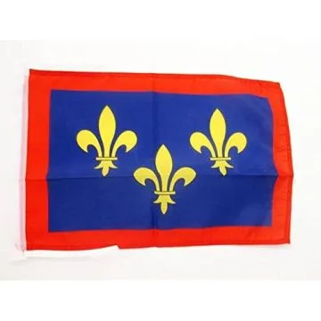 DRAPEAU PROVINCE D\'ANJOU 45x30cm - PAVILLON ANGERS - FRANCE 30 x 45 cm haute qualité