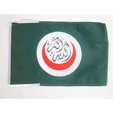 DRAPEAU ORGANISATION DE LA COOPÉRATION ISLAMIQUE 45x30cm - PAVILLON MUSULMAN - OCI 30 x 45 cm haute qualité
