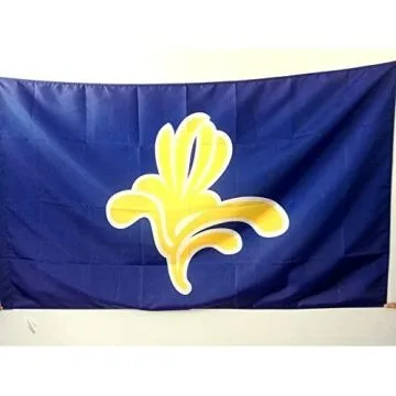 DRAPEAU BRUXELLES CAPITALE 90x60cm - DRAPEAU BRUXELLOIS 60 x 90 cm Fourreau pour hampe
