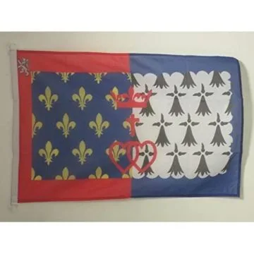 PAVILLON NAUTIQUE PAYS DE LA LOIRE 45x30cm - DRAPEAU DE BATEAU LIGÍ?RIEN - FRANCE 30 x 45 cm
