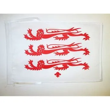 DRAPEAU COMTÉ DE DORSET ANCIEN 45x30cm - PAVILLON COUNTY OF DORSET - ANGLETERRE 30 x 45 cm haute qualité