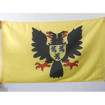 DRAPEAU VILLE DE CAMBRAI 150x90cm - DRAPEAU NORD-PAS-DE-CALAIS 90 x 150 cm Fourreau pour hampe