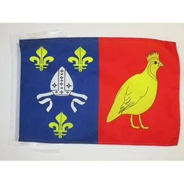 DRAPEAU CHARENTE MARITIME 45x30cm - PAVILLON DÉPARTEMENT CHARENTAIS 30 x 45 cm haute qualité
