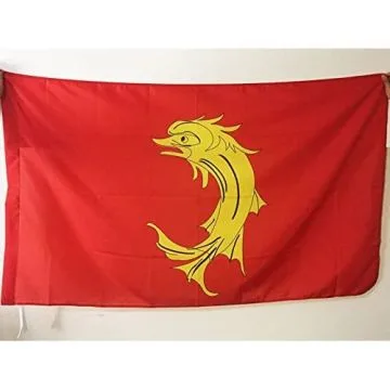 DRAPEAU LOIRE 90x60cm - DRAPEAU DÍ?PARTEMENT LIGÍ?RIEN 60 x 90 cm Fourreau pour hampe