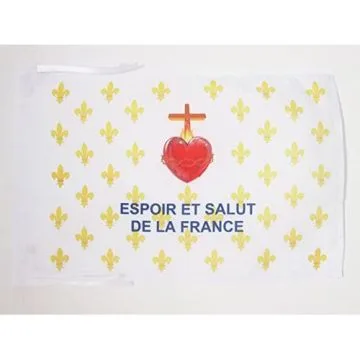 DRAPEAU ARMOIRIES FRANCE 3ÈME RÉPUBLIQUE 45x30cm - PAVILLON FRANÇAIS EMBLÈME 1898 30 x 45 cm haute qualité