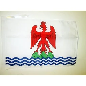 DRAPEAU COMTÉ DE NICE 45x30cm - PAVILLON NIÇOIS 30 x 45 cm haute qualité