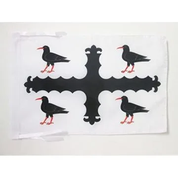 DRAPEAU COMTÍ? DE FLINTSHIRE 45x30cm - PAVILLON GALLOIS DE FLINTSHIRE - PAYS DE GALLES 30 x 45 cm haute qualité
