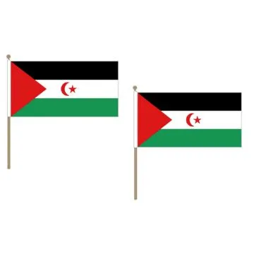 DRAPEAU SAHARA OCCIDENTAL 45x30cm HAMPE en bois - LOT DE 10 DRAPEAUX SAHRAOUI 30 x 45 cm