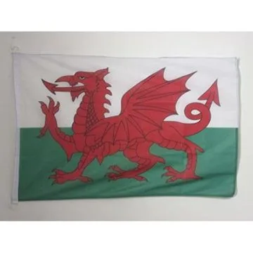 DRAPEAU PAYS DE GALLES 90x60cm - DRAPEAU GALLOIS 60 x 90 cm Spécial Extérieur - DRAPEAUX