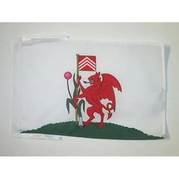 DRAPEAU CARDIFF 45x30cm - PAVILLON PAYS DE GALLES 30 x 45 cm haute qualité
