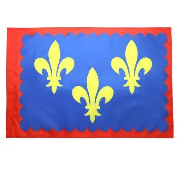 DRAPEAU PROVINCE DU BERRY 90x60cm - DRAPEAU BERRI - FRANCE 60 x 90 cm Fourreau pour hampe