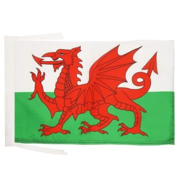 DRAPEAU PAYS DE GALLES 45x30cm - PAVILLON GALLOIS 30 x 45 cm polyester léger