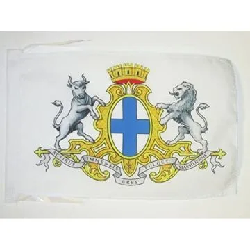 DRAPEAU ARMOIRIES DE MARSEILLE 45x30cm - PAVILLON MARSEILLAIS - VILLE DE MARSEILLE 30 x 45 cm haute qualité