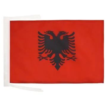 DRAPEAU CANTON DE SOLEURE 90x90cm - DRAPEAU SOLOTHURN - SO SUISSE 90 x 90 cm Fourreau pour hampe