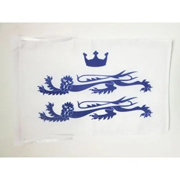 DRAPEAU COMTÉ DE BERKSHIRE 45x30cm - PAVILLON COUNTY OF BERKS. - ANGLETERRE 30 x 45 cm haute qualité