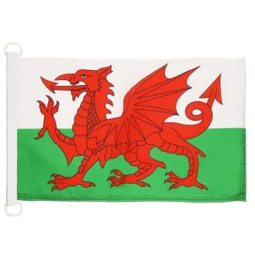 PAVILLON NAUTIQUE PAYS DE GALLES 45x30cm - DRAPEAU DE BATEAU GALLOIS 30 x 45 cm