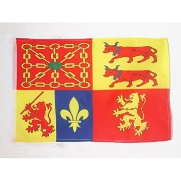 DRAPEAU PYRÉNÉES-ATLANTIQUES 45x30cm - PAVILLON DÉPARTEMENT PYRÉNÉEN - BEARN 30 x 45 cm haute qualité