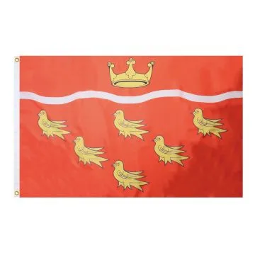 DRAPEAU COMTÉ DU SUSSEX DE L\'EST 150x90cm - DRAPEAU EAST SUSSEX - ANGLETERRE 90 x 150 cm - DRAPEAUX