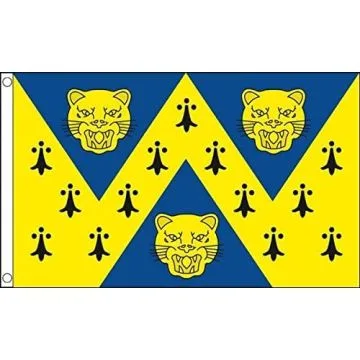 DRAPEAU COMTÉ DE SHROPSHIRE 150x90cm - DRAPEAU COUNTY OF SALOP - ANGLETERRE 90 x 150 cm - DRAPEAUX