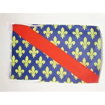 DRAPEAU ALLIER 45x30cm - PAVILLON DÉPARTEMENT FRANÇAIS - AUVERGNE 30 x 45 cm haute qualité