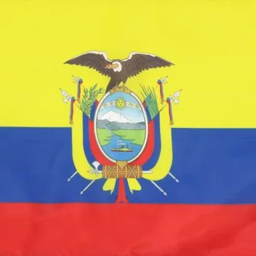 DRAPEAU EQUATEUR 45x30cm - PAVILLON Í?QUATORIEN 30 x 45 cm polyester léger