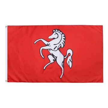 DRAPEAU COMTÉ DE KENT 150x90cm - DRAPEAU COUNTY OF KENT - ANGLETERRE 90 x 150 cm - DRAPEAUX