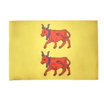DRAPEAU PROVINCE DU BÍ?ARN 150x90cm - DRAPEAU PYRÍ?NÍ?ES-ATLANTIQUES - FRANCE 90 x 150 cm Fourreau pour hampe
