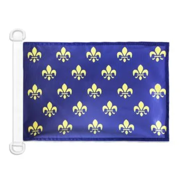 Pavillon nautique Fleur de Lys Bleu et Or 45x30 cm Anneaux Plastiques
