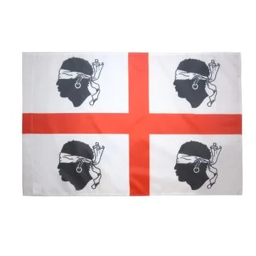 DRAPEAU SARDAIGNE NATIONALISTE SARDISME 90x60cm - DRAPEAU NATIONALISME SARDE 60 x 90 cm Fourreau pour hampe