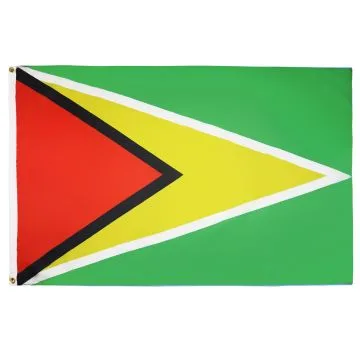 DRAPEAU GUYANA 90x60cm - DRAPEAU GUYANIEN 60 x 90 cm - DRAPEAUX