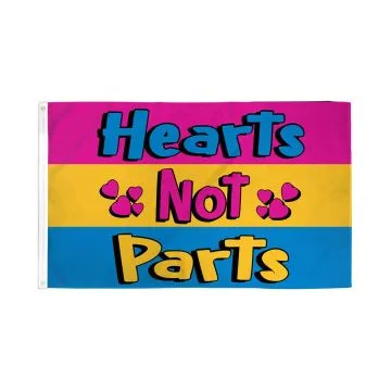 Drapeau LGBT Pansexualité Hearts Not Parts 150x90cm - Drapeau omnisexualité - pansexuel cœur 90 x 150 cm - Drapeaux