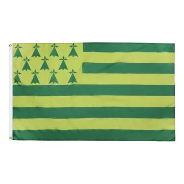 DRAPEAU BRETAGNE MELEN HA GWER 150x90cm - DRAPEAU BRETON JAUNE ET VERT - NANTES 90 x 150 cm - DRAPEAUX