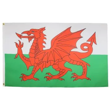 DRAPEAU PAYS DE GALLES 90x60cm - DRAPEAU GALLOIS 60 x 90 cm - DRAPEAUX