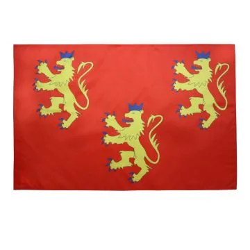DRAPEAU DORDOGNE 150x90cm - DRAPEAU DÍ?PARTEMENT FRANÍ?AIS - AQUITAINE 90 x 150 cm Fourreau pour hampe