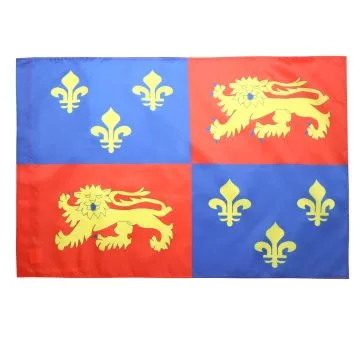 DRAPEAU LANDES 90x60cm - DRAPEAU DÍ?PARTEMENT LANDAIS 60 x 90 cm Fourreau pour hampe