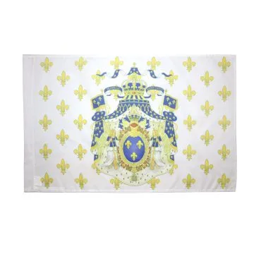 DRAPEAU ROYAUME DE FRANCE GRANDES ARMES 150x90cm - DRAPEAU ROYALISTE FLEUR DE LYS 90 x 150 cm Fourreau pour hampe