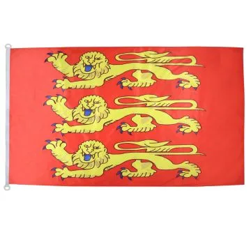 DRAPEAU HAUTE-NORMANDIE 150x90cm - DRAPEAU HAUT-NORMAND - FRANCE 90 x 150 cm Spécial Extérieur - DRAPEAUX