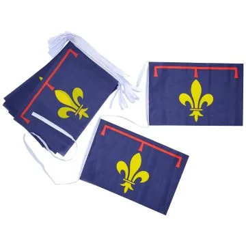 Guirlande Drapeau Provence Nouveau 12 mètres | 20 drapeaux 45x30 cm