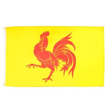 DRAPEAU WALLONIE 150x90cm - DRAPEAU WALLON - BELGIQUE 90 x 150 cm - DRAPEAUX