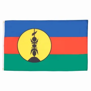 DRAPEAU NOUVELLE CALÉDONIE 150x90cm - DRAPEAU NÉO-CALÉDONIEN - FRANCE 90 x 150 cm - DRAPEAUX