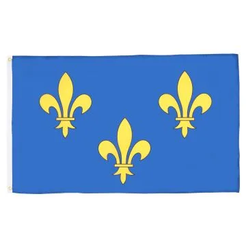 DRAPEAU FLEUR DE LYS BLEU ET OR 150x90cm - DRAPEAU ROYAUME DE FRANCE 90 x 150 cm - DRAPEAUX