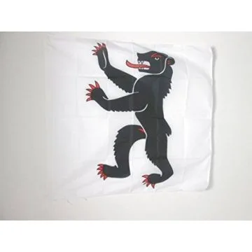 DRAPEAU CANTON D\'APPENZELL RHODES-EXTÍ?RIEURES 90x90cm - DRAPEAU APPENZELL AUSSERRHODEN - AR SUISSE 90 x 90 cm Fourreau pour hampe